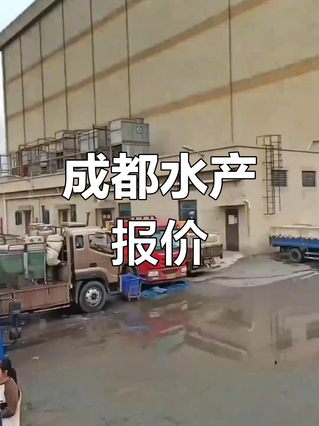 四川成都淡水鱼价格大揭秘,养殖朋友们必看!