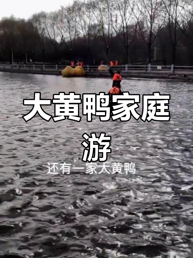 哈尔滨最冷清的公园,大黄鸭一家四口免费看