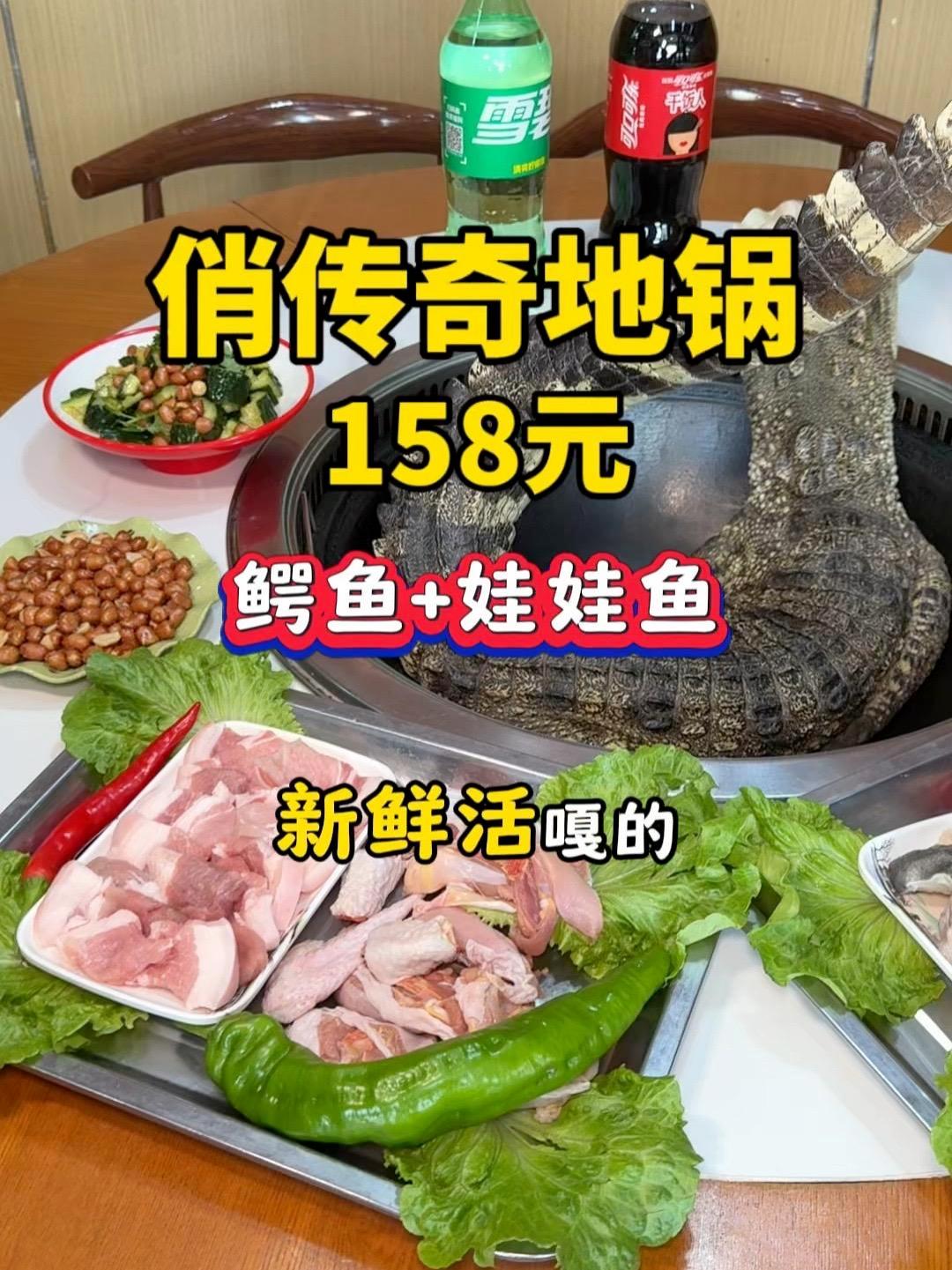 100多吃新鲜活嘎的鳄鱼+娃娃鱼地锅鸡 锅灶一气鲜炖小地锅 乡村地锅鸡 老家地锅鸡 鳄鱼