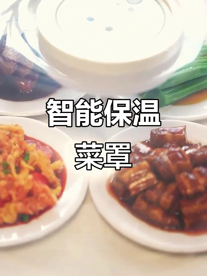 智能保温菜罩，冬季必备！让饭菜保持温度更久