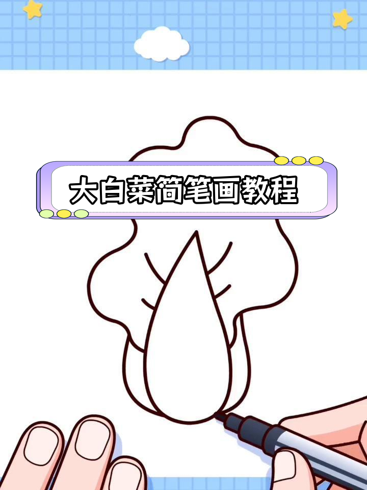 简单几步画出大白菜