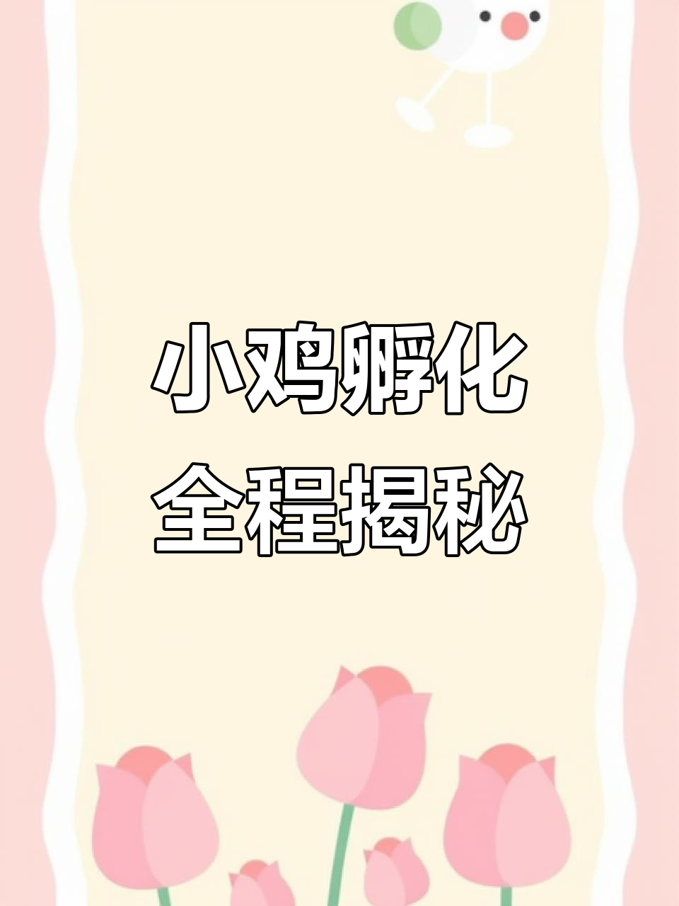 杂交鸡孵化全过程:从第十天到孵出小鸡的奇迹时刻