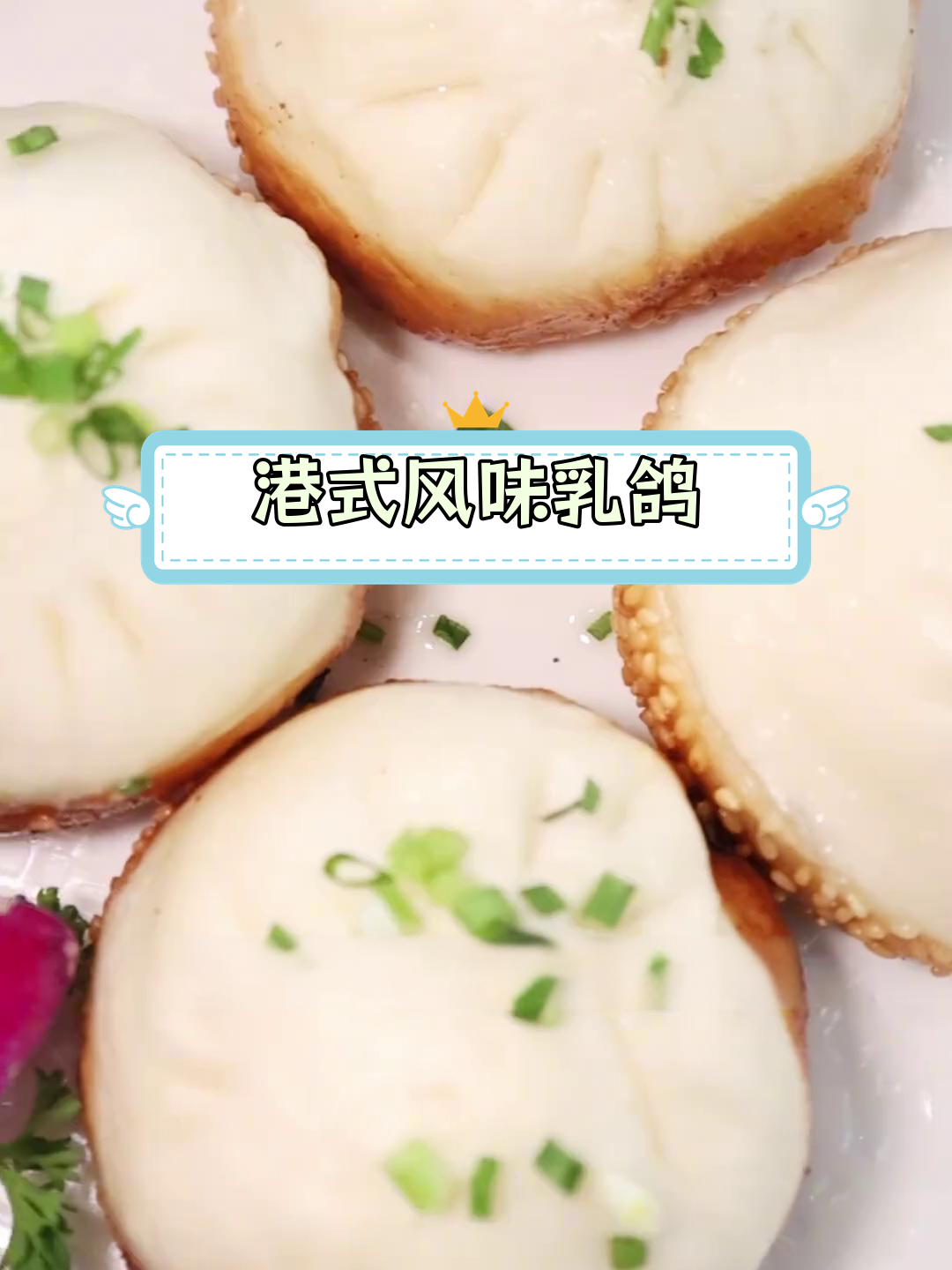 从江北到江南,乳鸽情怀满满