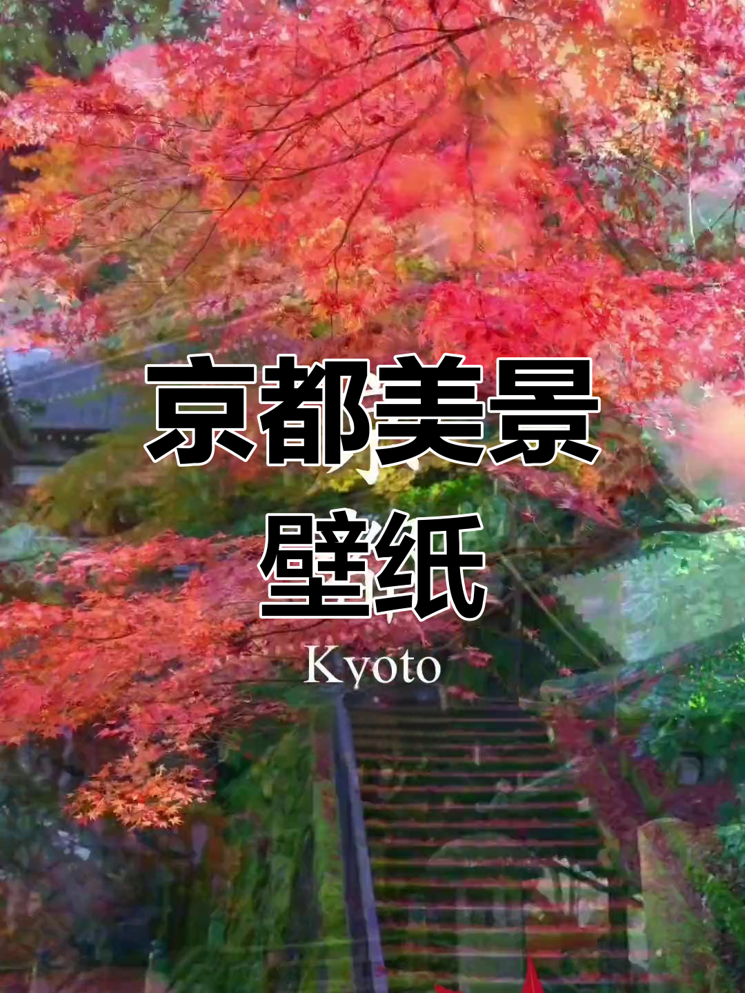 京都四季风景壁纸