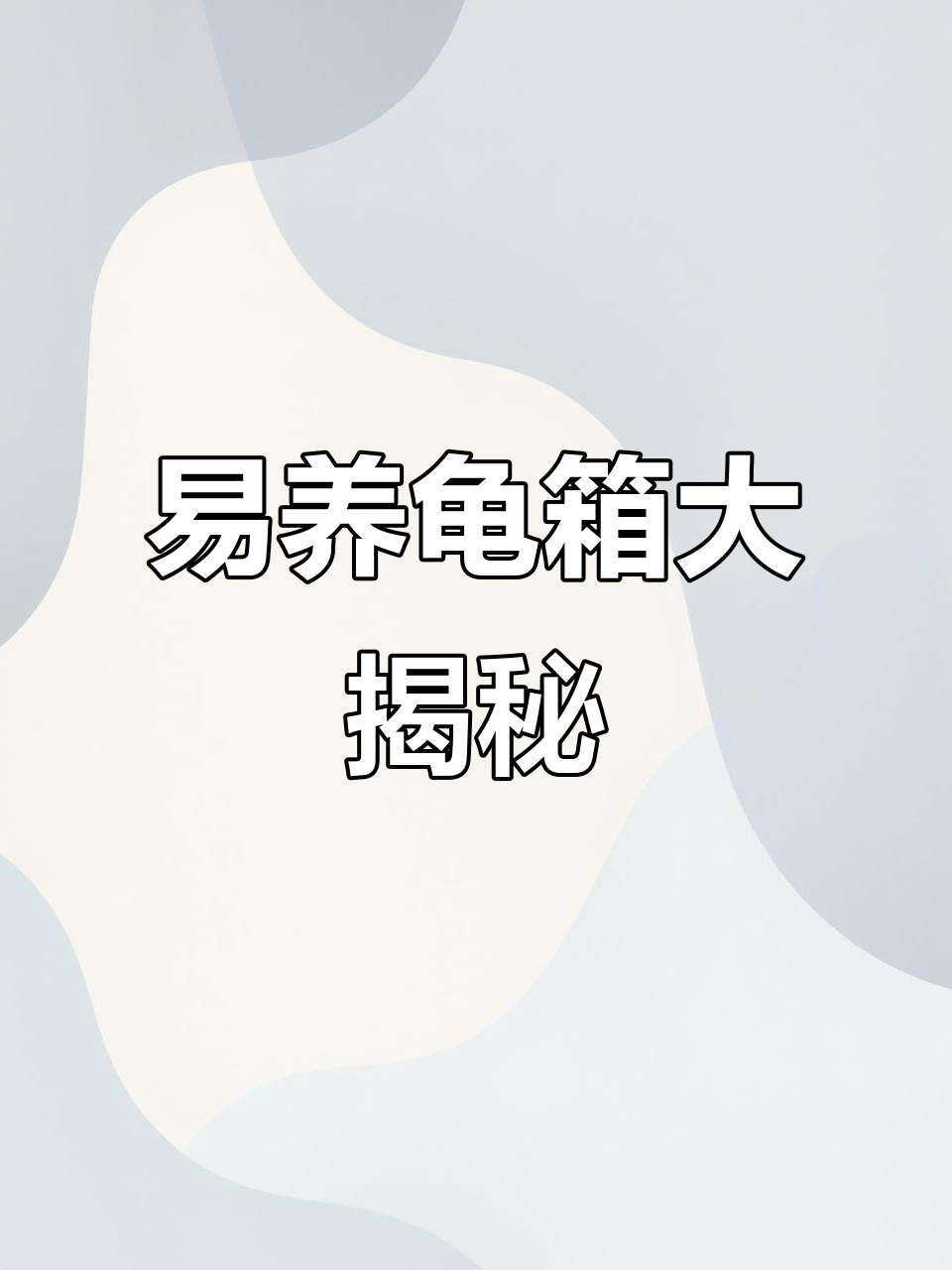 大型养龟箱,轻松打造水族世界