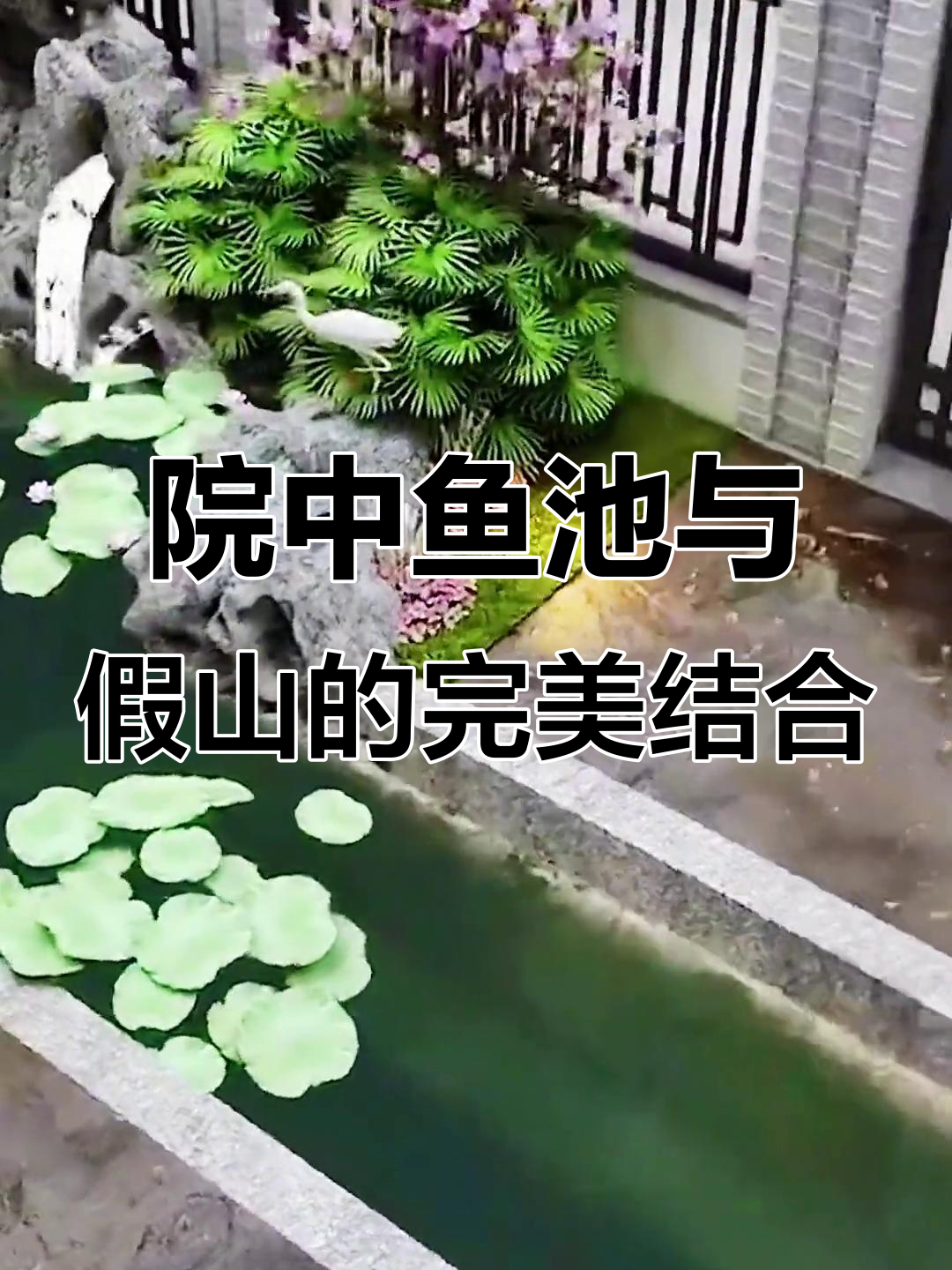 小院子如何打造鱼池假山景观，中式设计让庭院更美