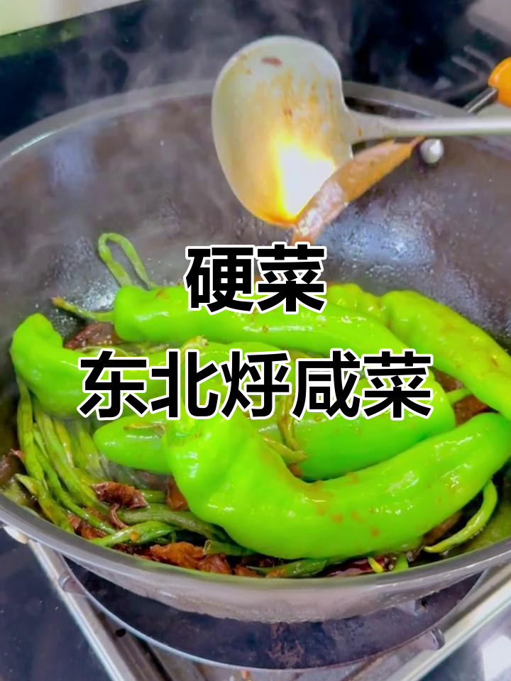 东北经典糊咸菜,豇豆辣椒牛肉一锅炖