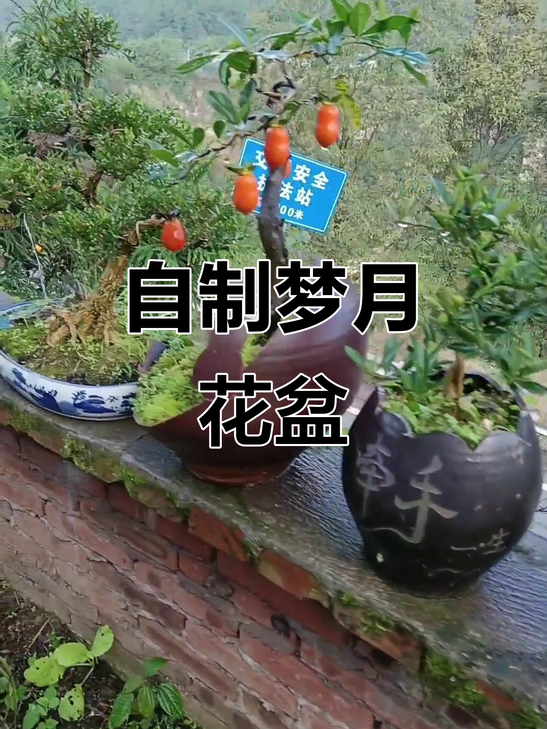 明天休息,准备切割坛子做花盆,创意满满!