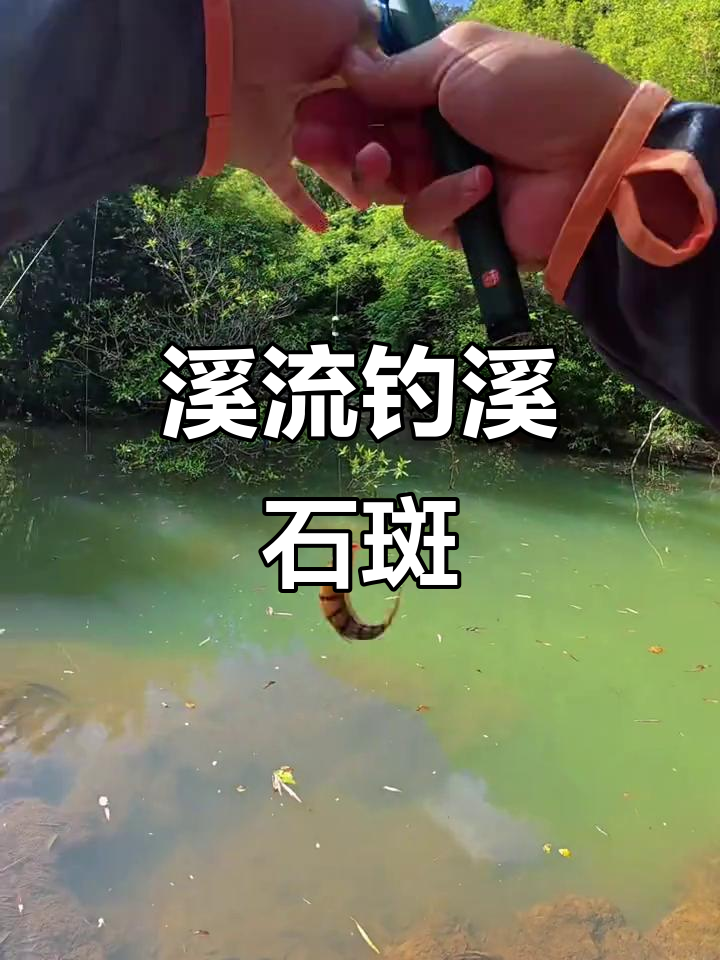 溪石斑钓法大揭秘,传统技巧挑战极限