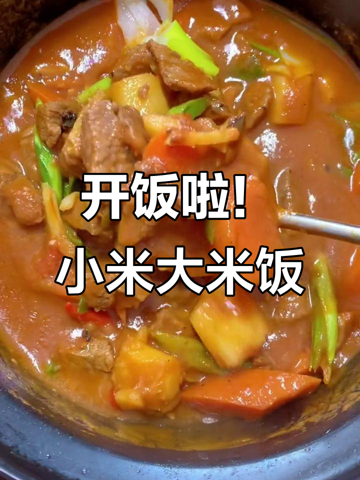 小米大米饭配山药胡萝卜炖牛肉,酸辣汤开胃下饭