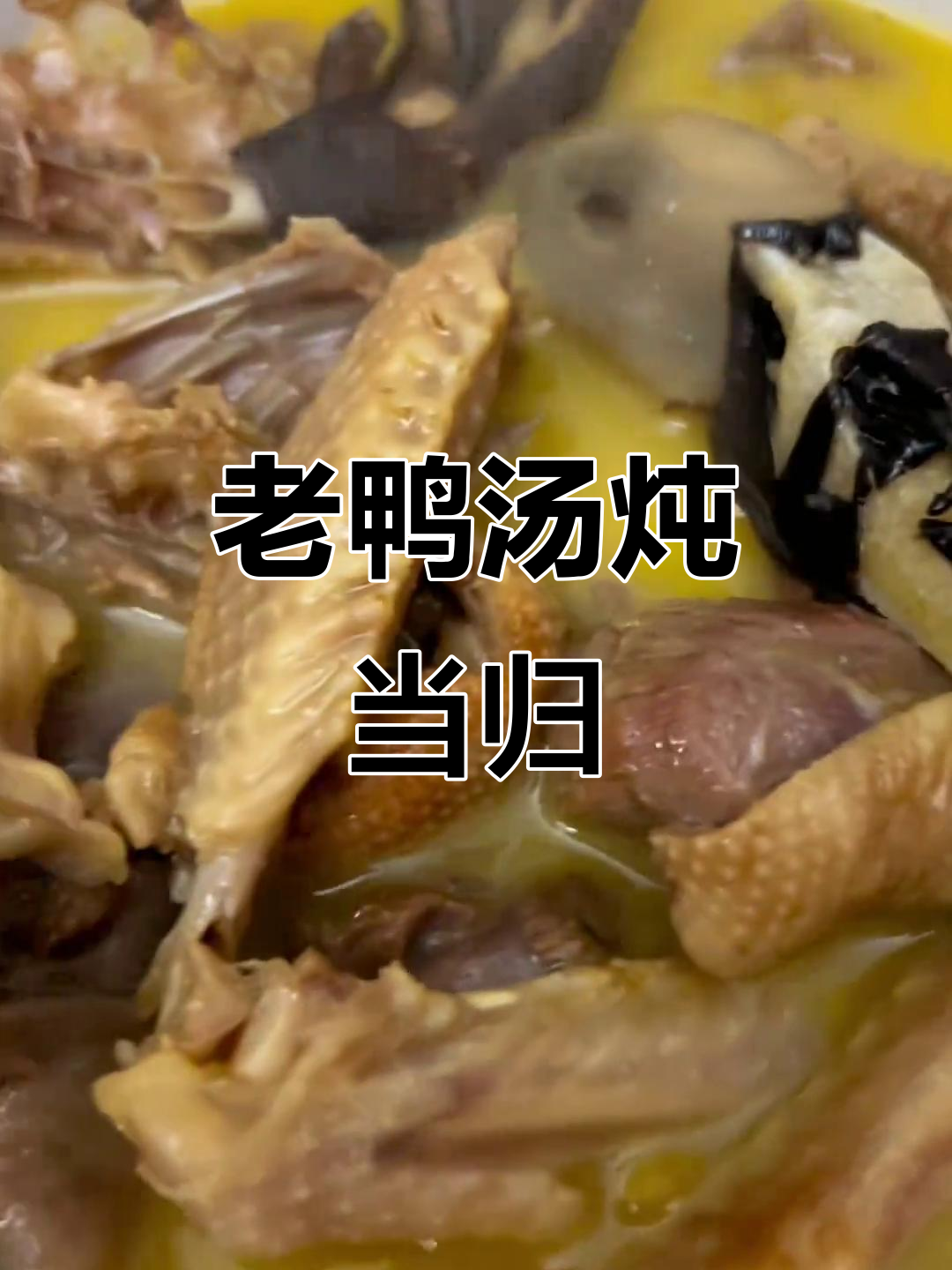 老鸭炖当归,简单调味汤鲜美