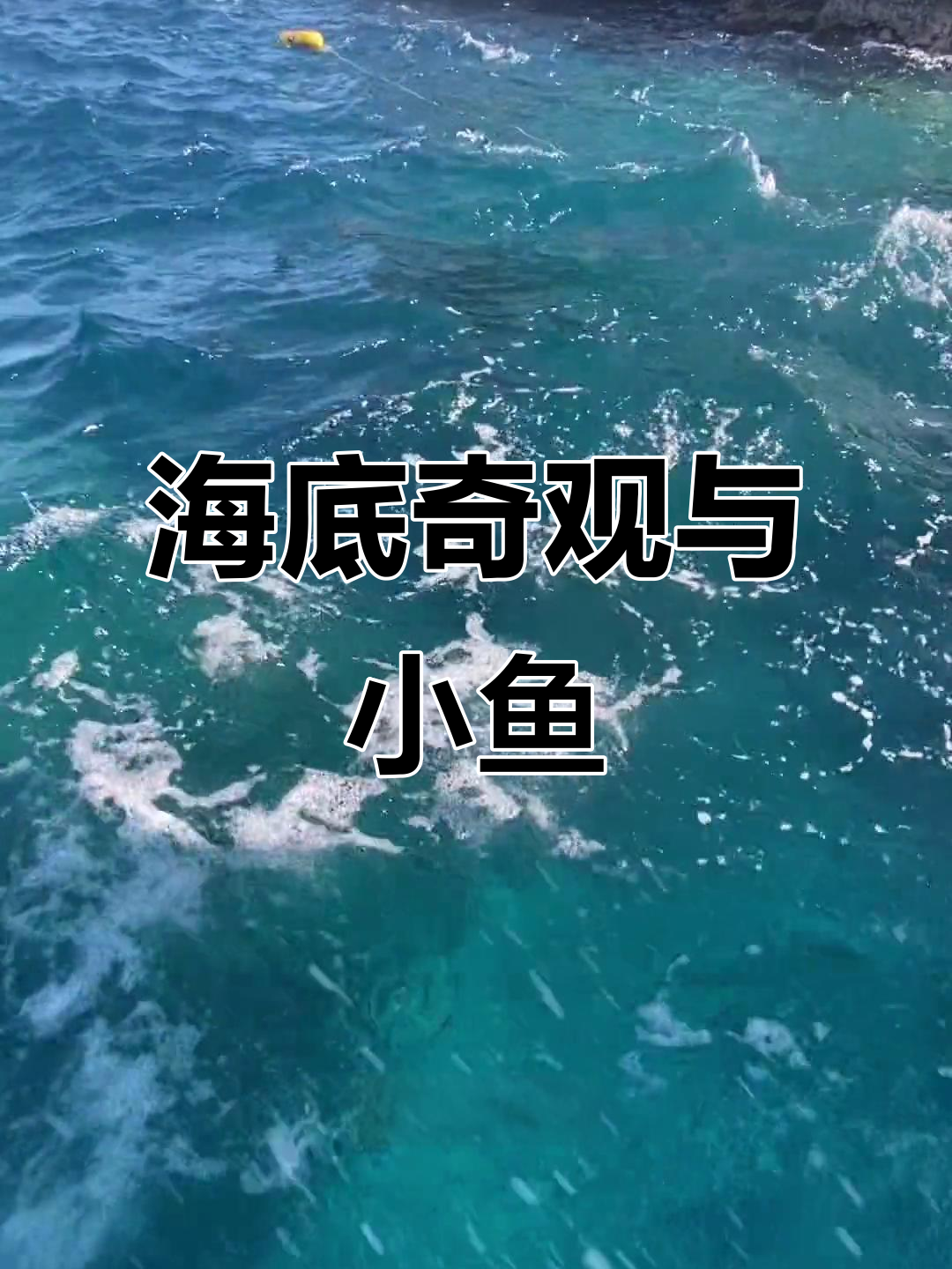 海南潜水探险:颜值爆表的小鱼与奇特海底美景