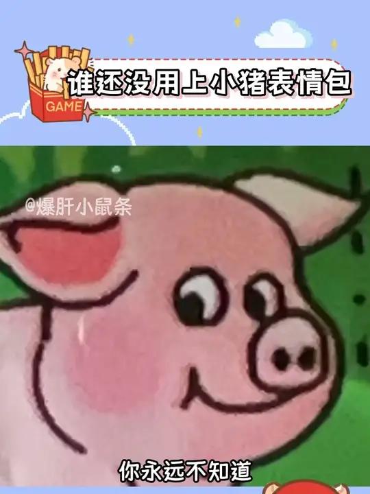 谁还没用上最近很火的小猪表情包