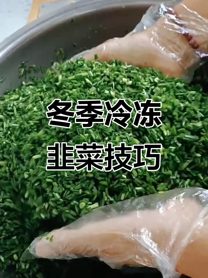 冬天必备!冻韭菜包饺子,省时又好吃