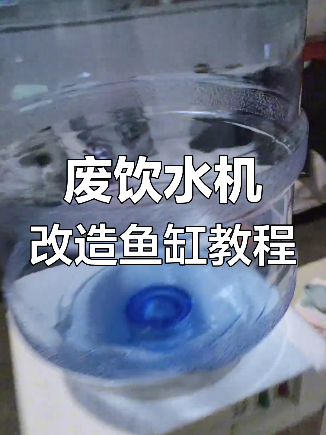 利用废饮水机打造鱼缸,简单步骤教你变废为宝