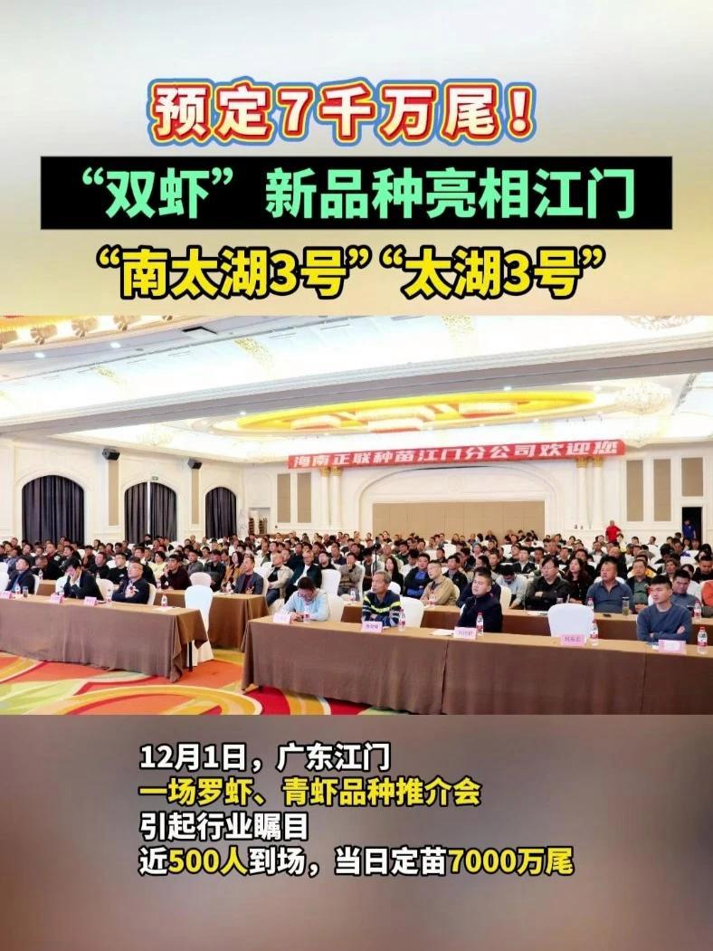 预定7千万尾!“双虾”新品种亮相江门,“南太湖3号”“太湖3号” 罗氏沼虾 青虾 水产养殖