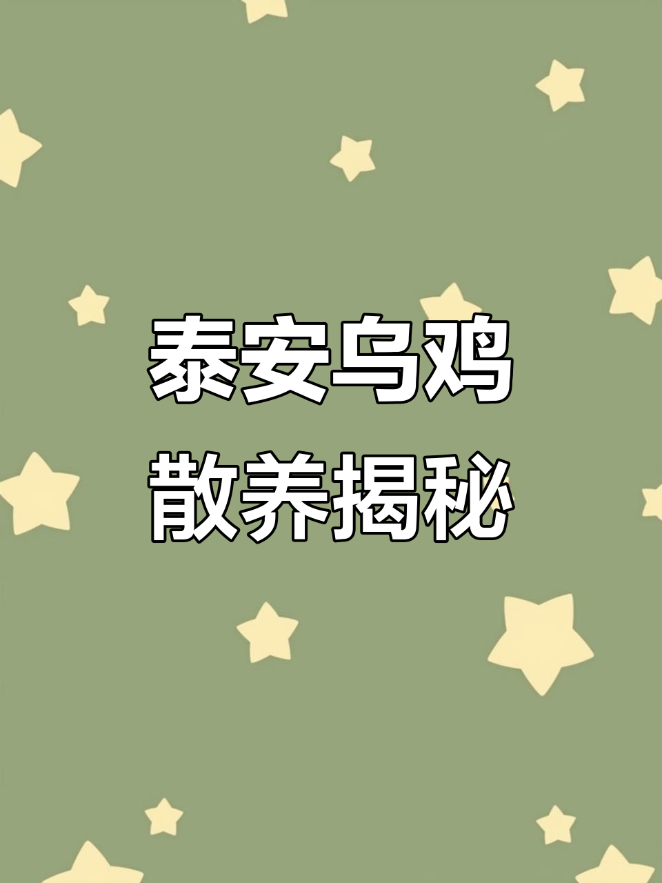 泰安散养乌鸡:传统养殖与现代生活的完美结合