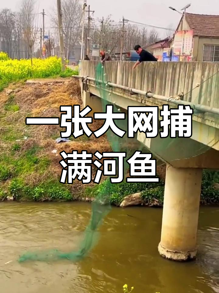 超大拦鱼网一放,全河道鱼儿尽收眼底