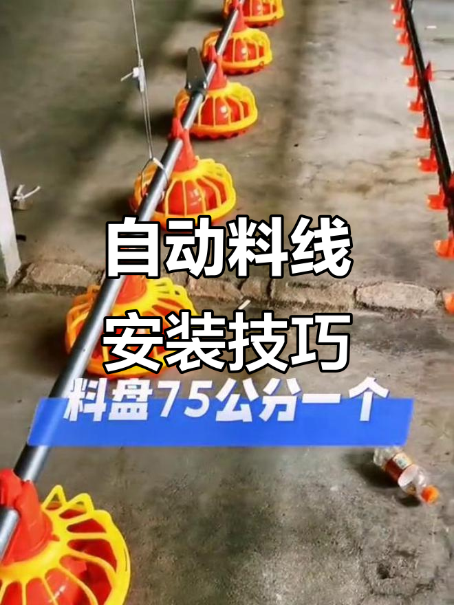 平养鸡舍自动料线安装全攻略,步骤详解