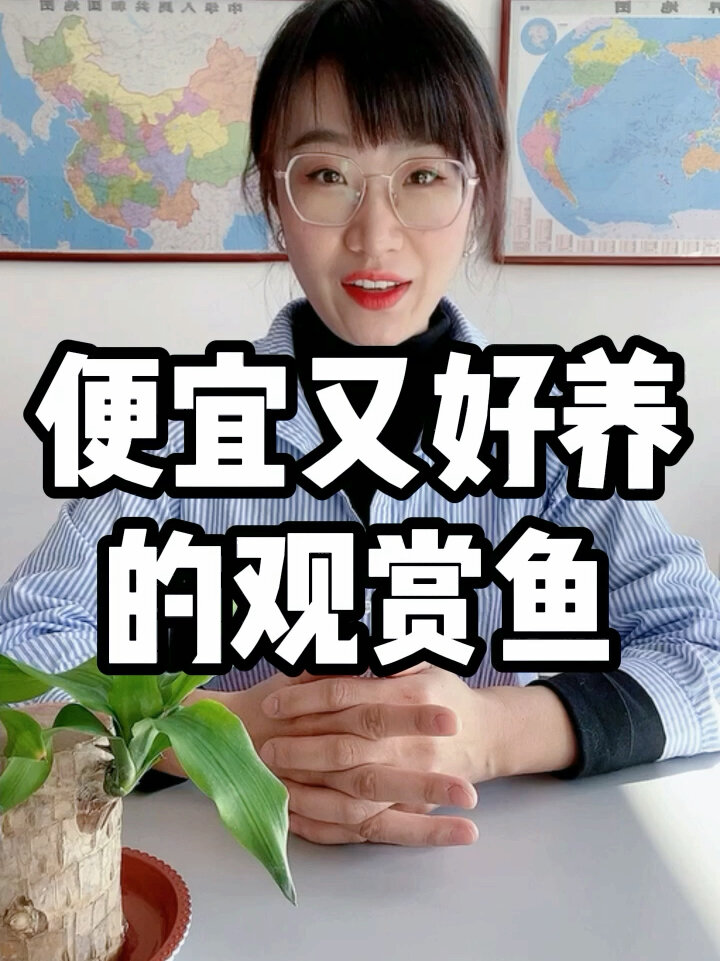 没有一条超过5块钱的鱼