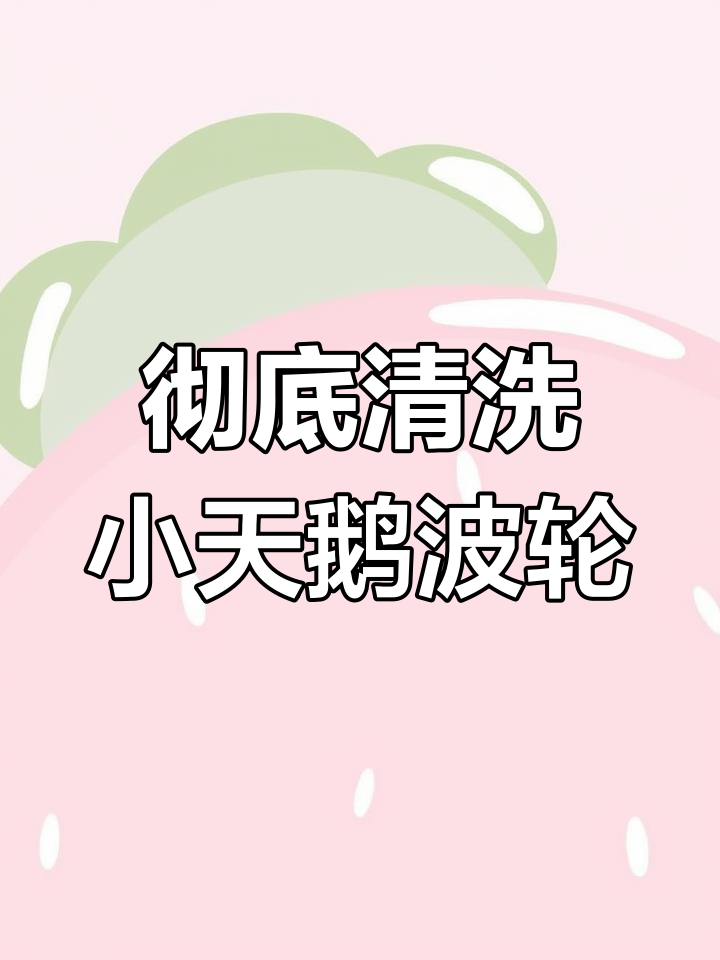 小天鹅波轮洗衣机全拆洗,轻松去除水垢和死角