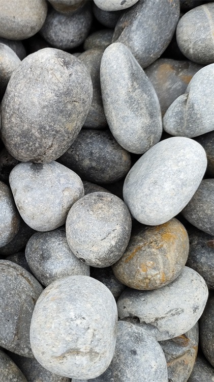 佳奥供应灰色3-5公分鹅卵石 园林铺路水池地铺造景灰河卵石