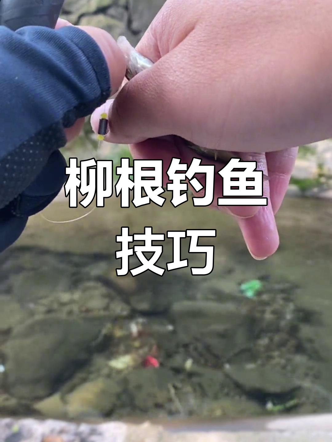 柳根鱼钓法大揭秘,溪流野钓轻松上手!