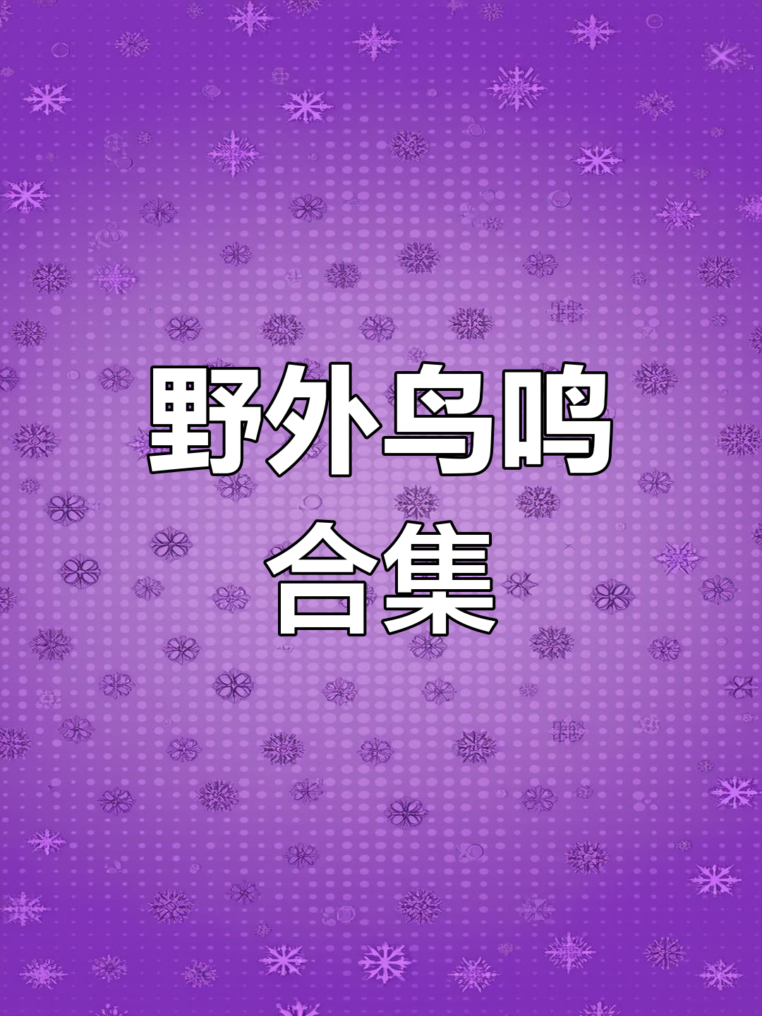 斑鸠野鸡叫声大比拼,户外聆听自然音乐