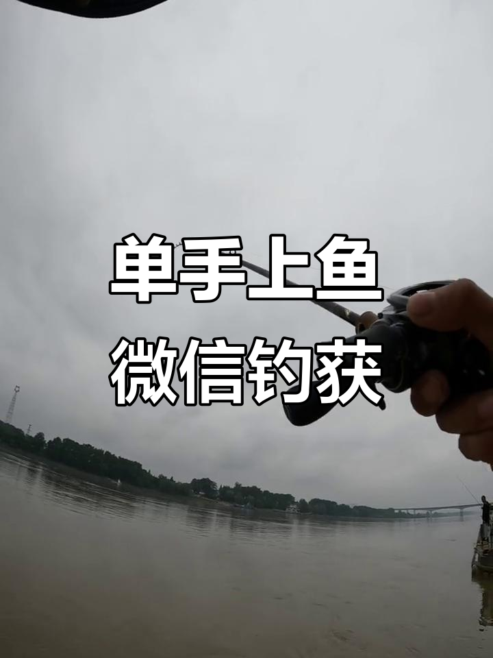 微信钓鱼大作战,单手操作上鱼成功!