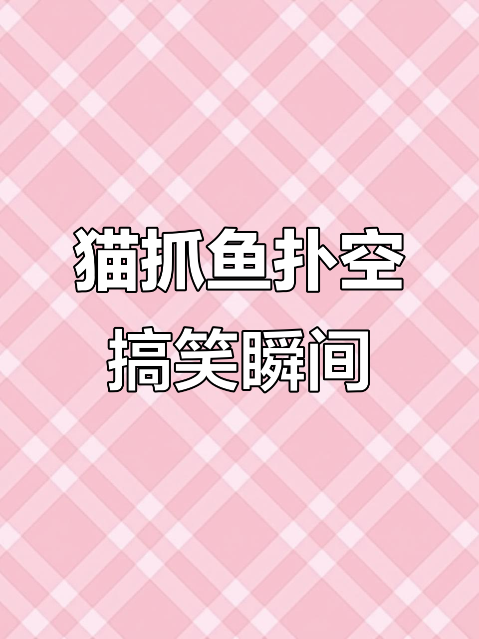 6月30日猫咪捞鱼失败,为不尴尬竟这样表演