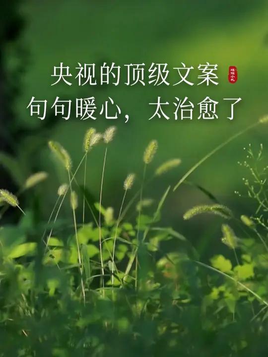 不愧是央视,文案界的天花板,这十年磨一剑,落笔即满分!央视新闻夜读精选文集 读书