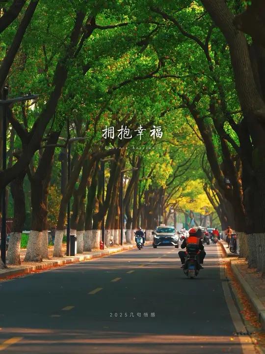 今天是5月9日星期五,早安,幸福不是什么都拥有,而是拥有的东西……能让你感受到快乐!快乐藏