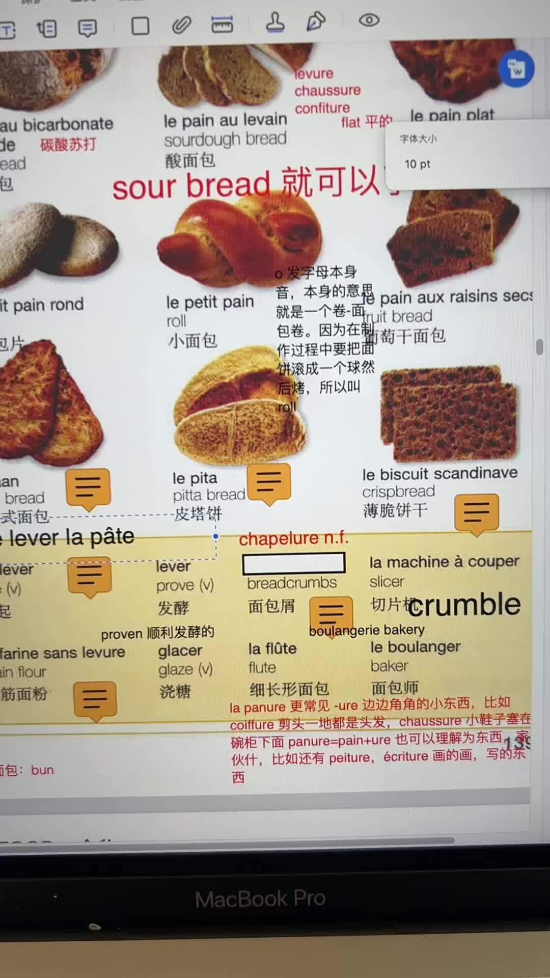 今天的面包和酒 学语言归根到底是感受文化和丰富感知。英语 法语 瑞士 日常vlog