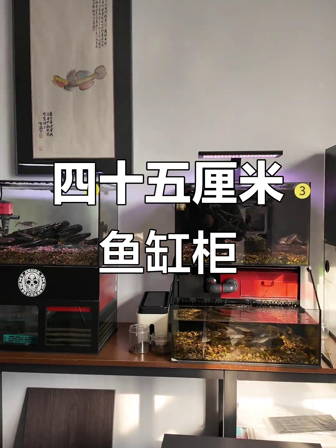 萤火虫鱼缸柜：四十五厘米底柜与九零缸的完美搭配