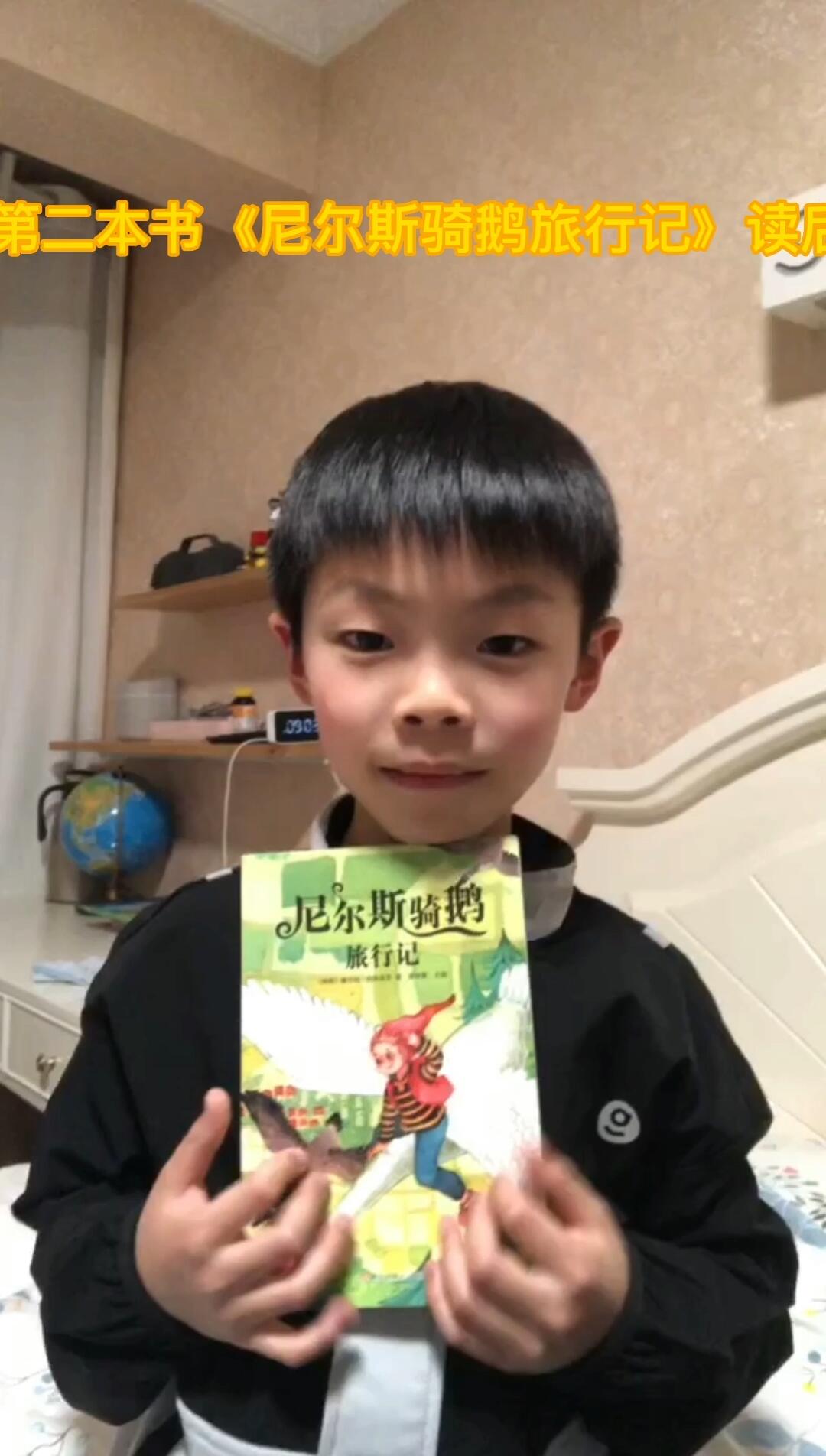 尼尔斯骑鹅旅行记读后感