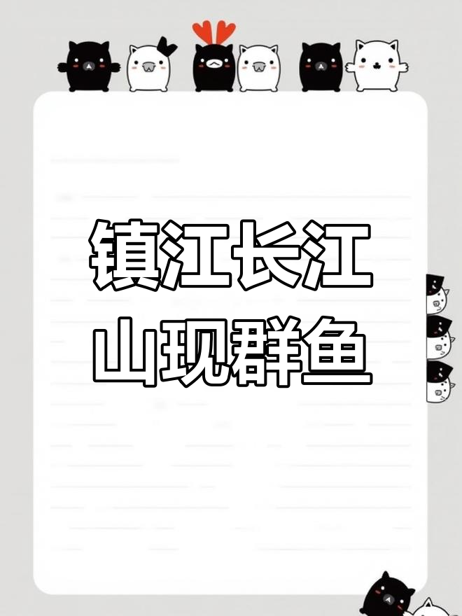 长江镇江段罕见群鱼戏水,三四十平方水域大闹腾
