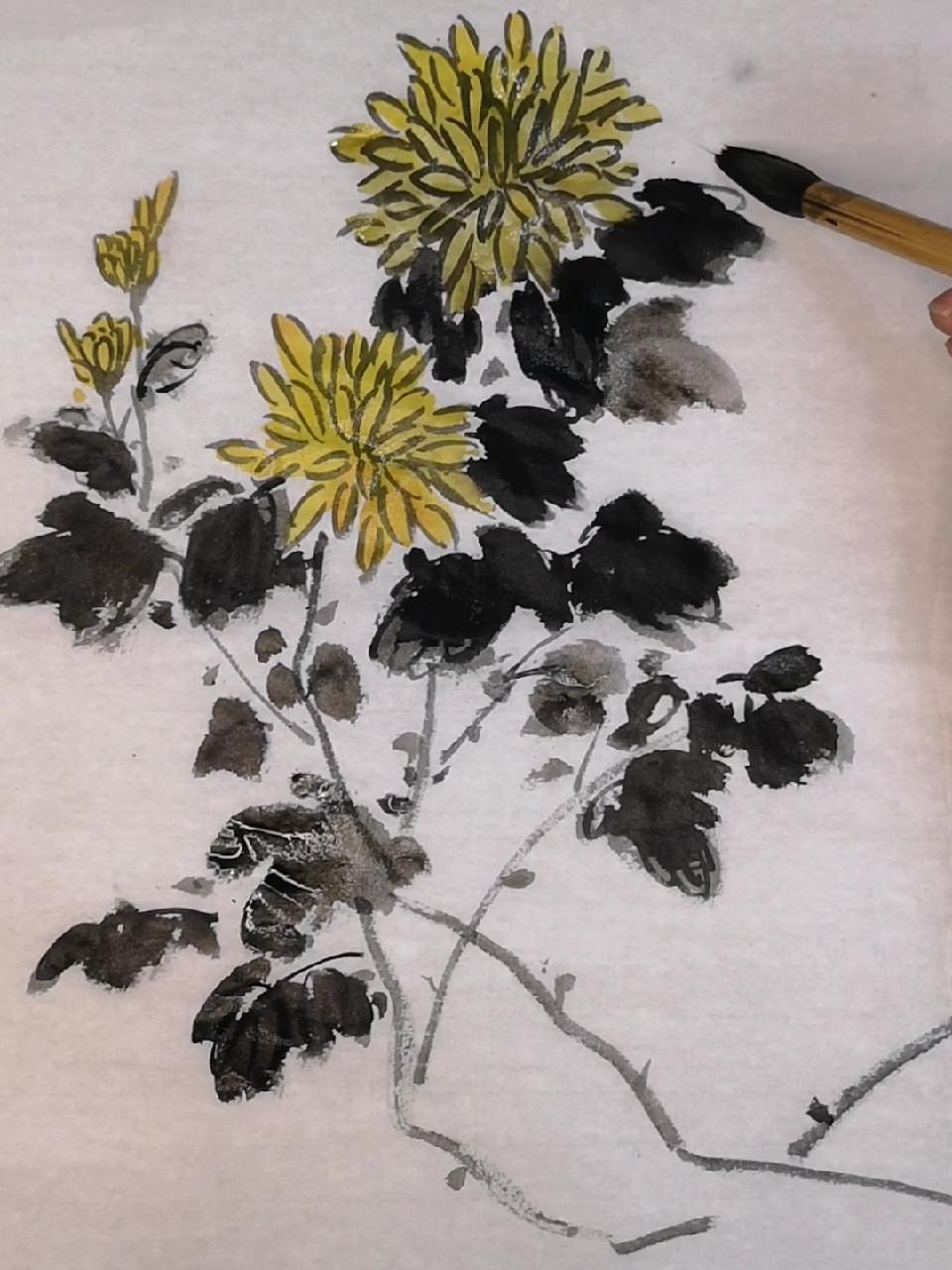 国画菊花画法 国画 唐山 一起学画画 画菊花