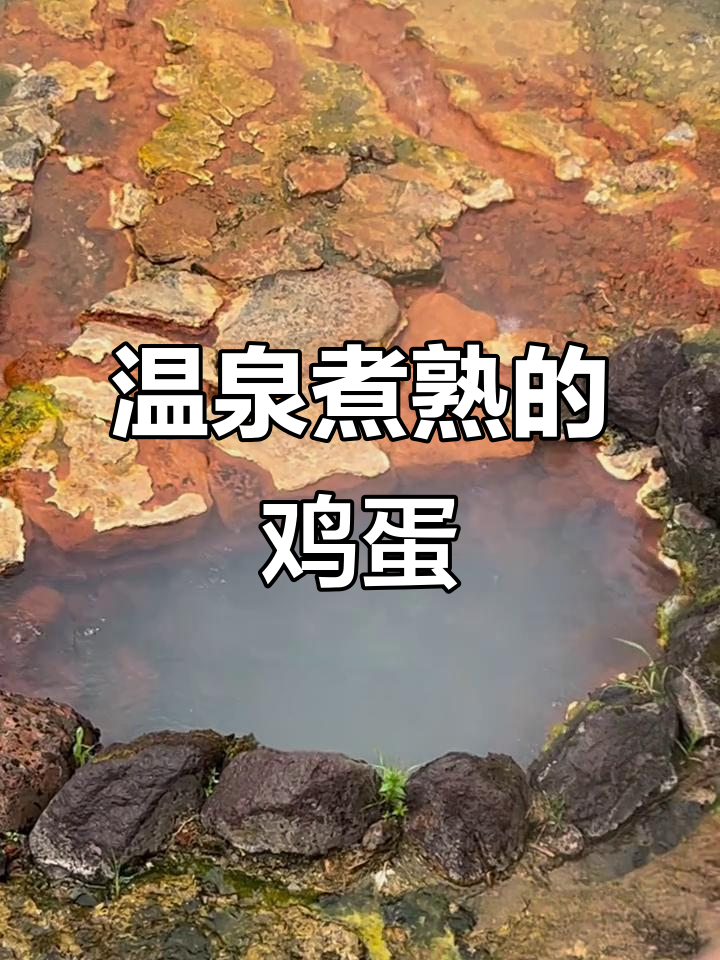 长白山温泉煮鸡蛋,83摄氏度热水中蛋熟了