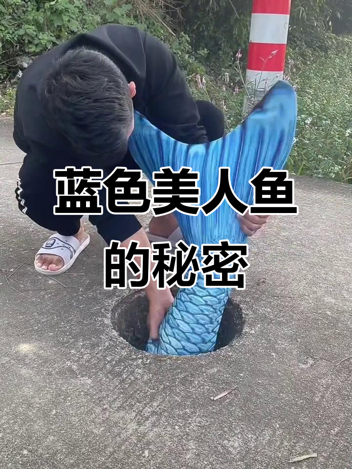 表哥抓住蓝色美人鱼尾巴,重达200斤!晚上会变美女?