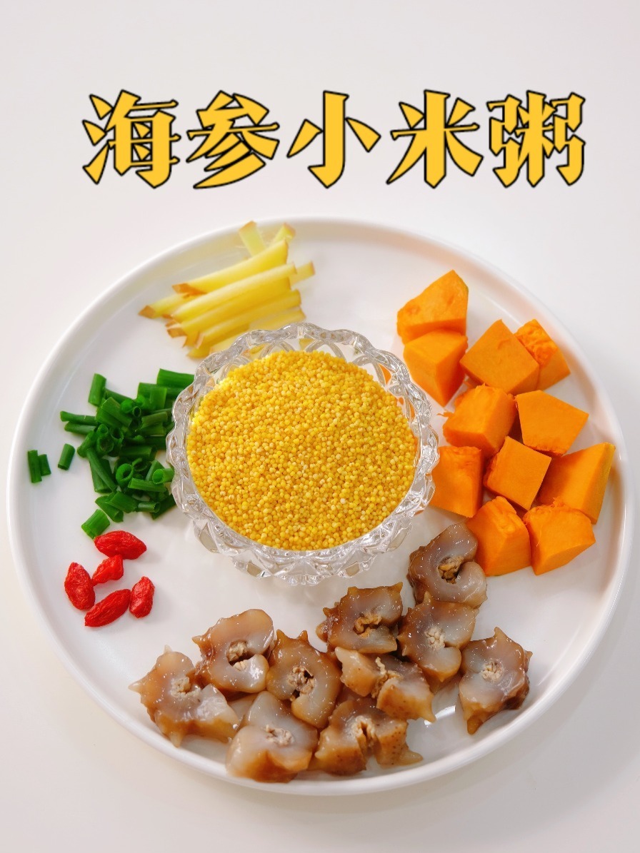 给家人做1001道滋补美食|第26道海参小米粥