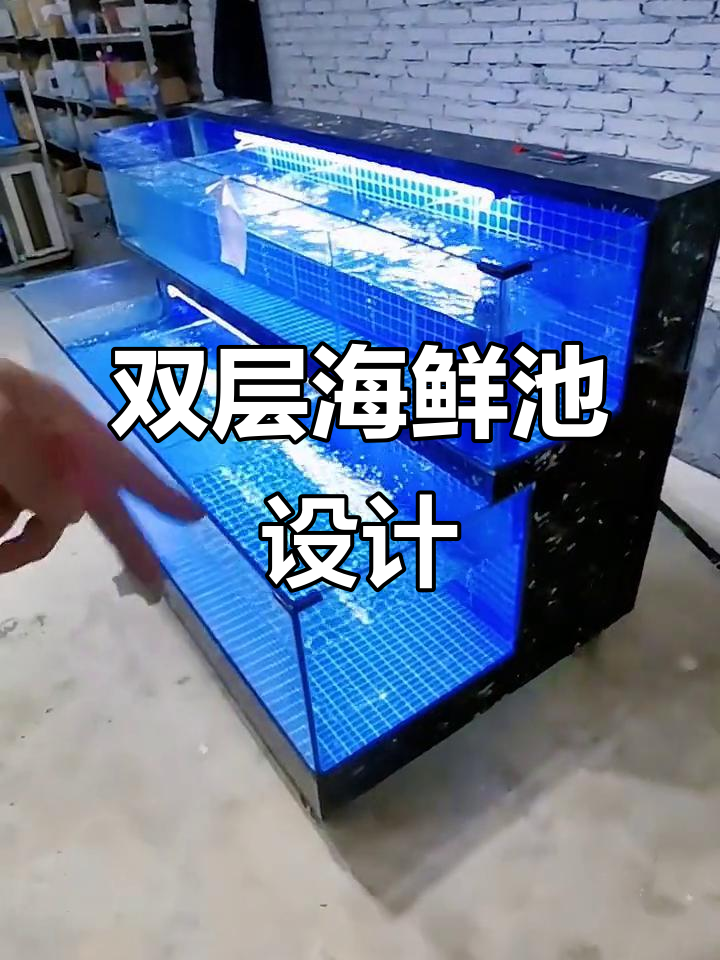 2米双层海鲜鱼缸设计,背部过滤系统超静音
