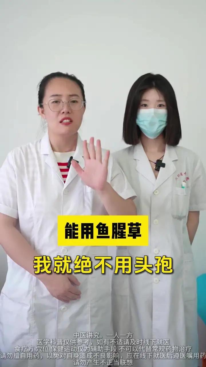 鱼腥草 天然的消炎药