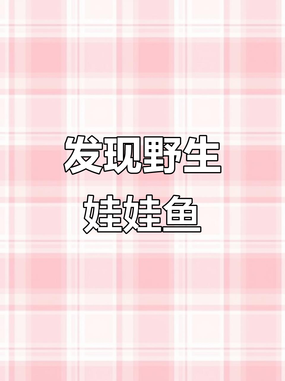 阆中嘉陵江边惊现野生娃娃鱼,老鹰飞过引发关注