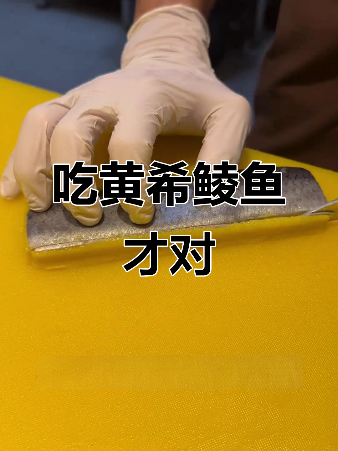 希鲮鱼吃黄色才正宗,别问为什么!