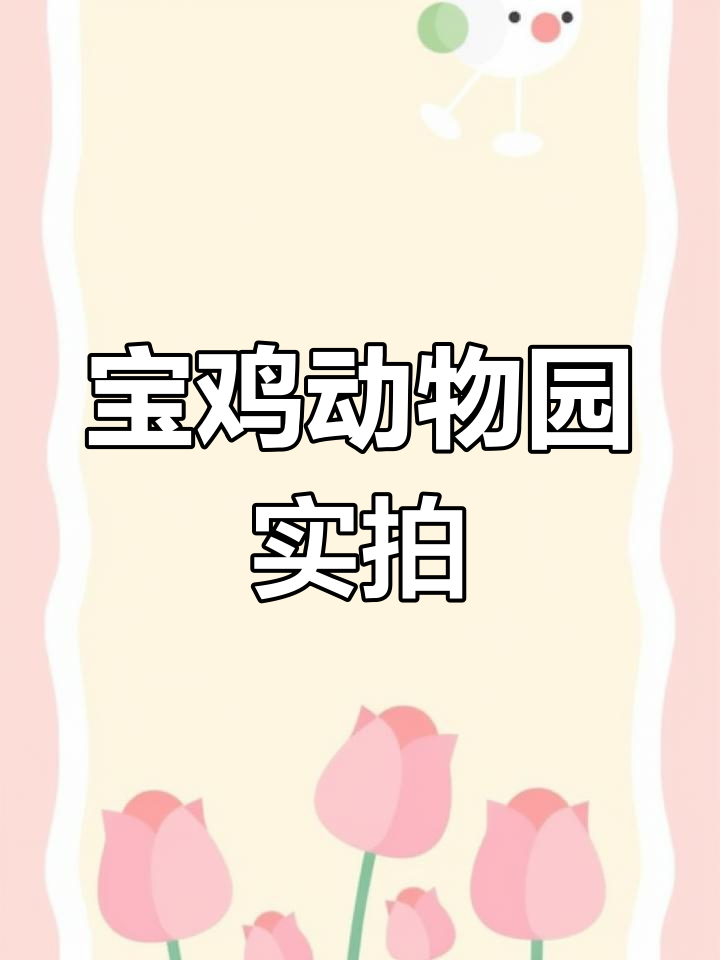 宝鸡人民公园动物区大揭秘，亲历真实动物园场景