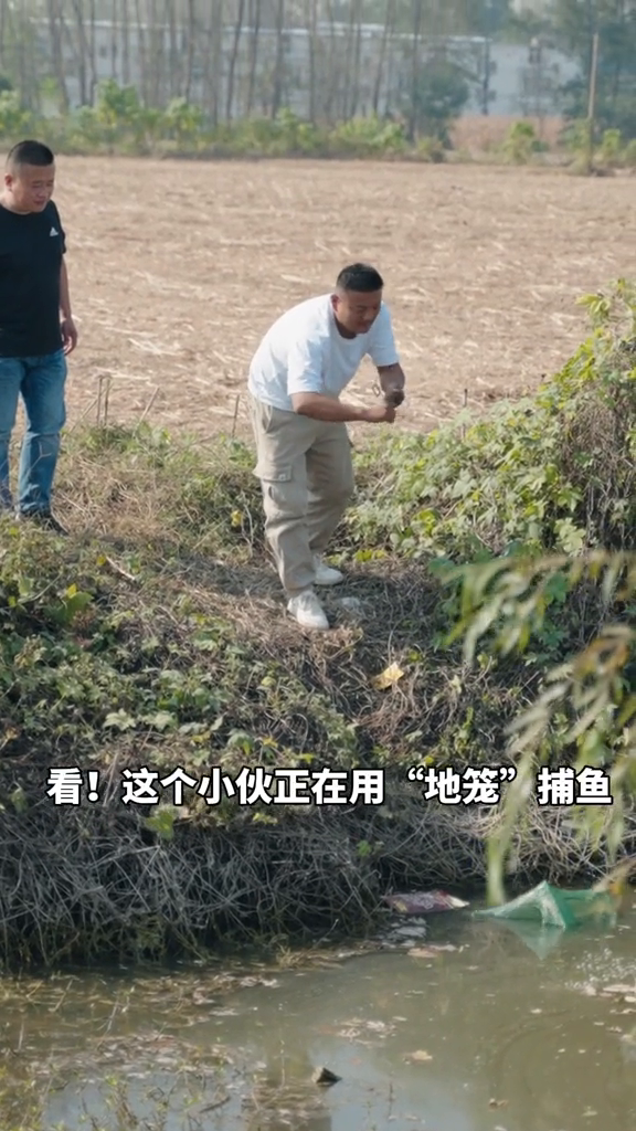 用“地笼”捕鱼违法吗?