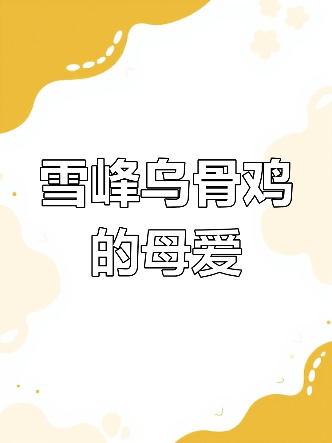 雪峰乌骨鸡母性满满,带崽吃食超有耐心