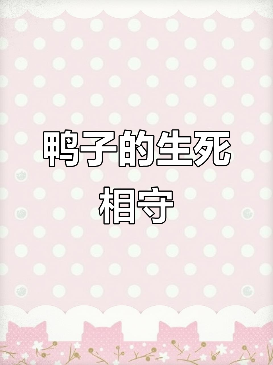 孤独鸭子守护亡伴,默默相伴走向生命的尽头