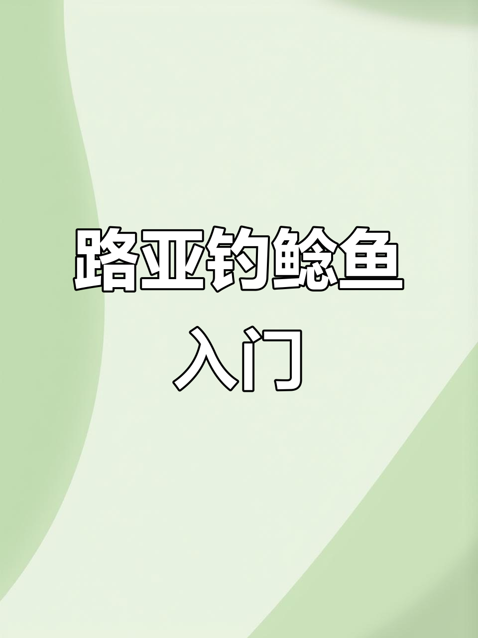 钓鲶鱼技巧大揭秘,轻松掌握路亚装备与饵料选择
