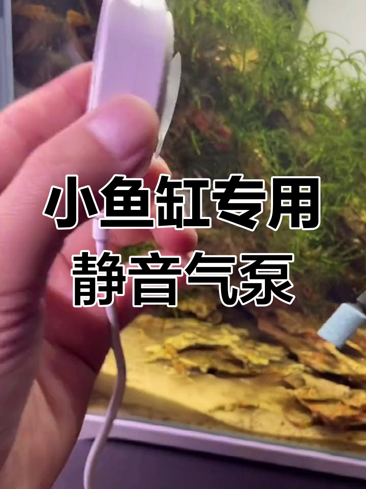 迷你静音气泵,完美适配小鱼缸